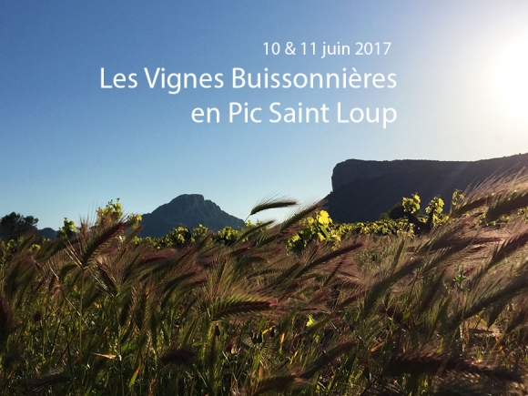 Vignes buissonnières 2017 in Pic Saint Loup